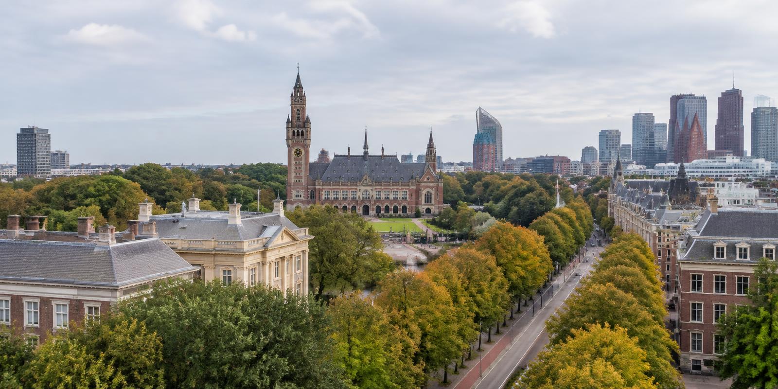 The Hague and its international district
